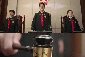 6部高质量公检法电视剧盘点：正义与权力的博弈