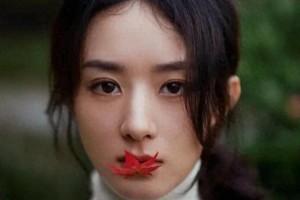 精选图片集：视觉盛宴与艺术欣赏