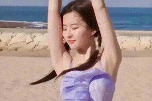 精彩图片集锦：203991至203988系列展示