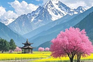 张一凡瘦身秘诀：生活习惯改变带来30斤健康减重