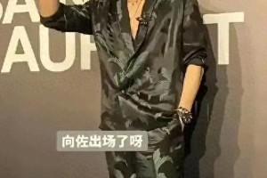 向佐：帅气外形与正能量的多面魅力